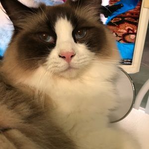 Meet your Posher, Kay